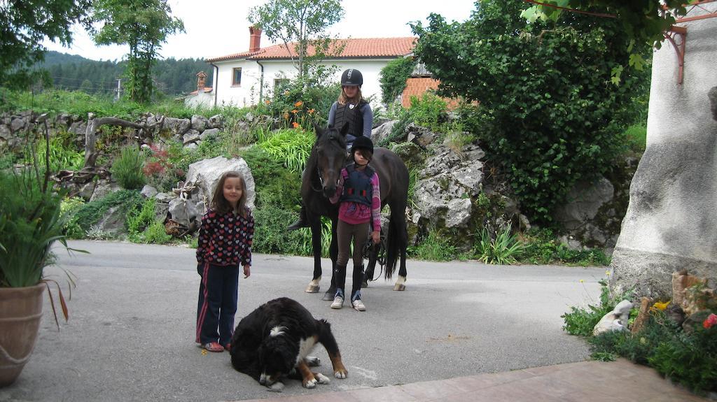 Villa Tourist Farm Dujceva Domacija Vremski Britof Esterno foto